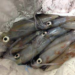 型が大きくなってきた